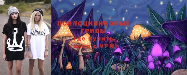молекула духа Горно-Алтайск